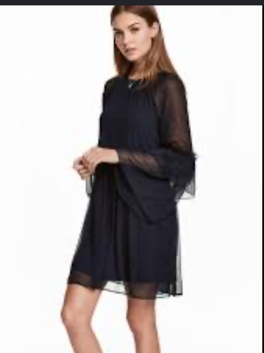 H&M navy ruffle sheer sleeve dress